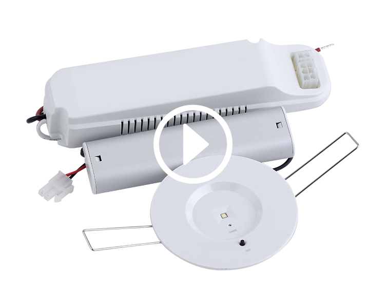 D40-r-1 nødledet downlight